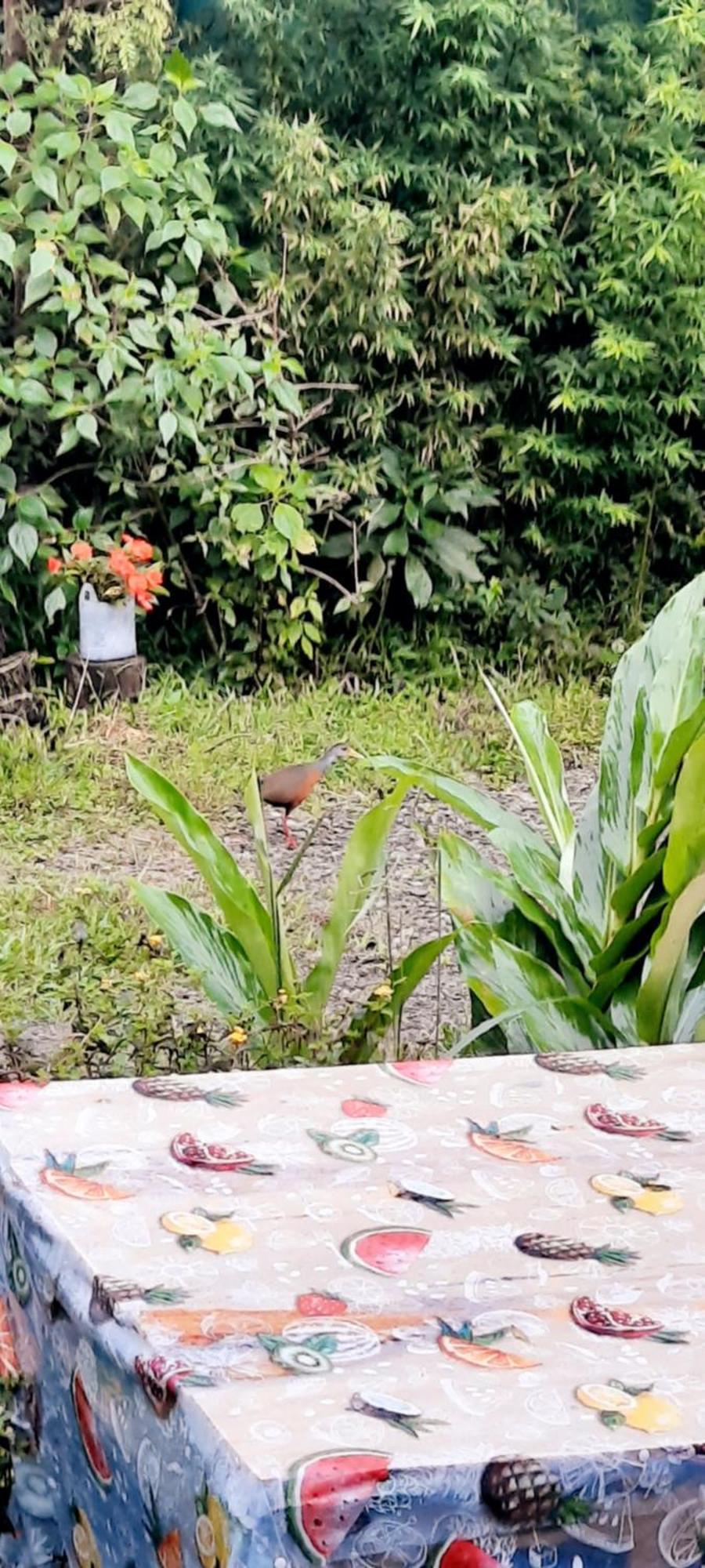 Monteverde Romantic Cottage Quarto foto